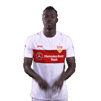 Var Videobeweis Sticker by VfB Stuttgart