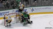 Ice Hockey Sport GIF by NHL