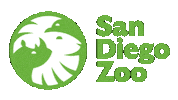 San Diego Fun Sticker by San Diego Zoo Wildlife Alliance
