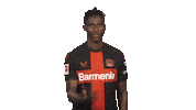 Looking Bayer 04 Sticker by Bundesliga