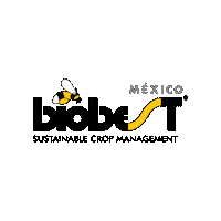 Abejorros Sticker by Biobest México