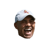 sun devils asu Sticker