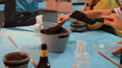 PaintNite  GIF