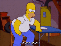 homer simpson GIF