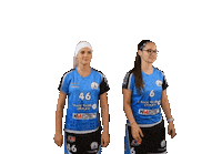 Floorball Sticker by Český florbal