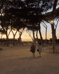 faciletours travel sunset tour rome GIF