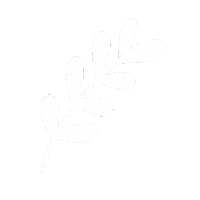 Leaf Flor Sticker