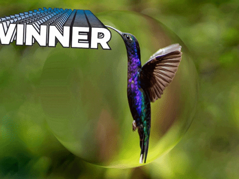 Germany Wow GIF by FranchiseONE.de