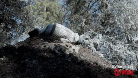 i am a gallagher GIF by Showtime