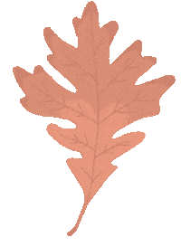 Oak Leaf Walk Sticker