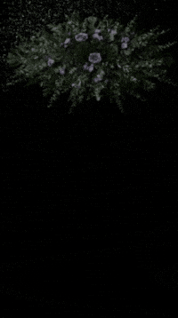 Gizemrussell GIF by hasans rugs