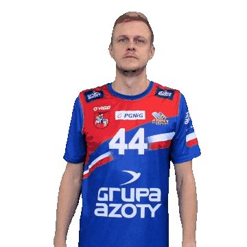 Handball Pgnigsuperliga Sticker by KS Azoty-Puławy S.A.