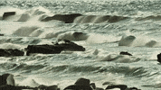 Art Film GIF