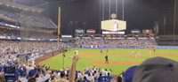 Fowl Ball: Goose Leads Dodger Stadium Staff on a Wild Chase