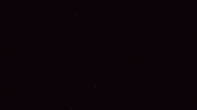 Portrait Yearbook GIF by Originals