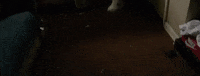 On A Mission Money GIF by Rubberband OG