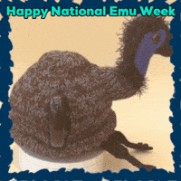 Big Bird GIF by TeaCosyFolk