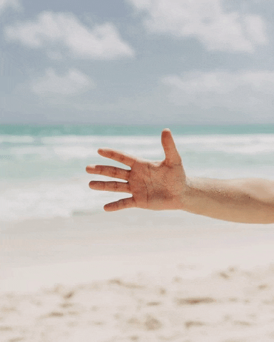 LunaBayBooch giphyupload beach hand kombucha GIF