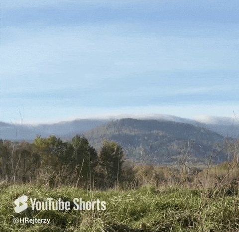 Run Running GIF by HRejterzy