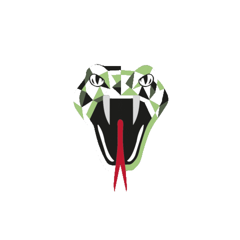 Freek Vonk Snake Sticker by Shoeby