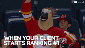 Consulting Digital Marketing GIF by Voxel