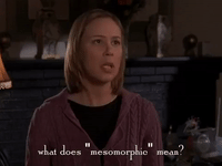 season 4 netflix GIF by Gilmore Girls 