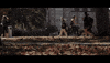 #fsu #floridastate #campus #noles GIF by Florida State University