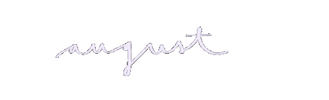 ceciliasolari giphyupload summer travel cheers Sticker