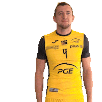 Belchatow Sticker by PGE Skra Bełchatów