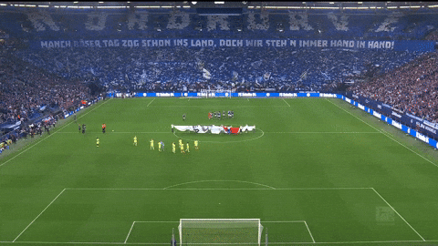 Football Soccer GIF by FC Schalke 04