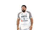 Basketball Jerome Sticker by Nantes Basket Hermine