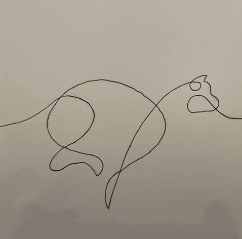 milantopalovic giphygifmaker GIF