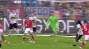 euro 2016 GIF by Sporza