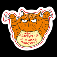 Cat Party Hard GIF by Dmytro Borysov's Gastrofamily