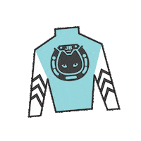 Horse Racing Sticker by Kentucky Derby