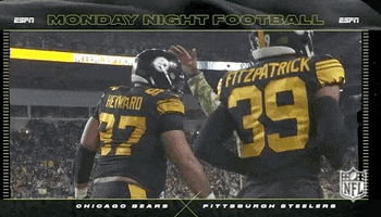Pittsburgh Steelers Football GIF by NFL