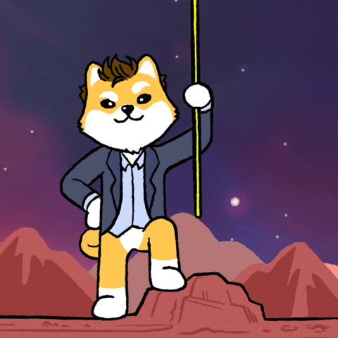 Red Planet Doge GIF by Dogelon Mars