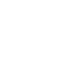 Norb Twiddle Sticker by Tour Wife Tour Life