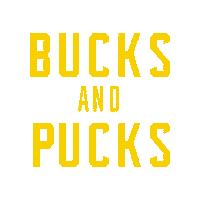 Hockey Iowa Sticker by goheartlanders