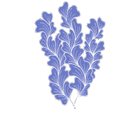 Water Ocean Sticker by DEICHBRAND Festival