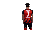 Sticker by Eintracht Frankfurt