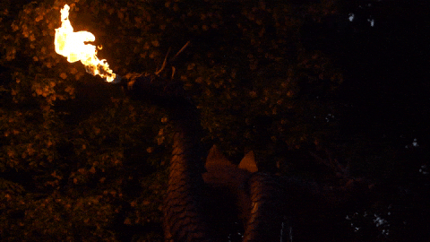 Minnesota State University Moorhead Dragon GIF by MSUM Dragons
