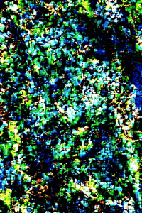 Dream Satisfy GIF by Aleksey Efremov