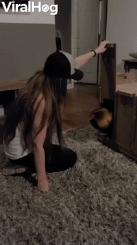 Living Room Rooster Release Doesn't Go as Planned