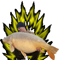 Carpfishing Sticker by Benoit
