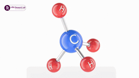 foodresearch giphyupload GIF