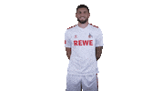 Fc Cologne Football Sticker by 1. FC Köln