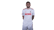 Fc Cologne Football Sticker by 1. FC Köln