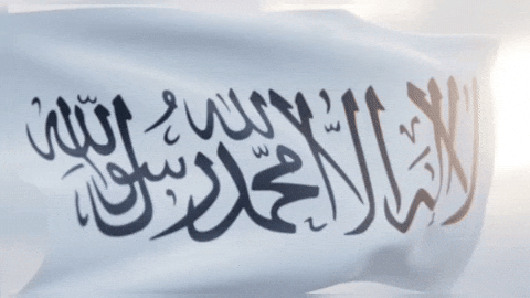 Flag Wind GIF