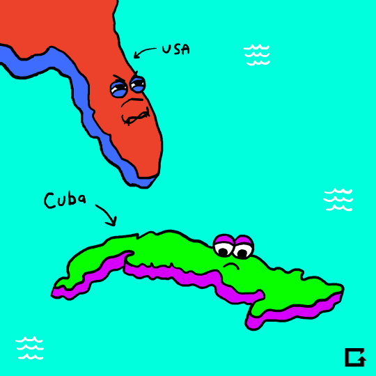 Cuba Beef Squashed GIF by gifnews